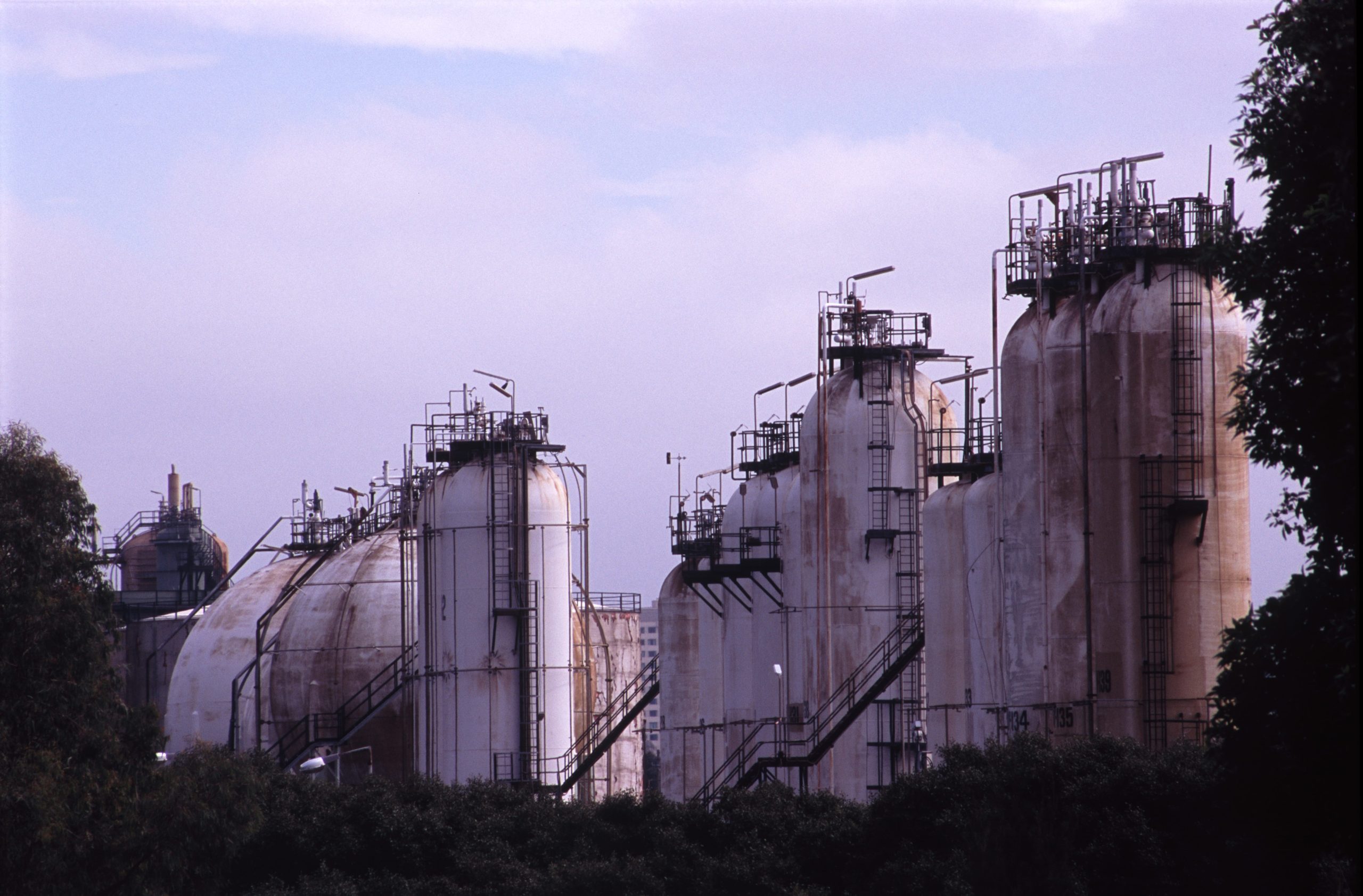 Food Processing