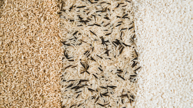 Types of Rice