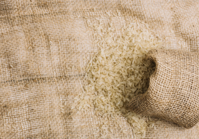 Import & Export of Agricultural Products: A Comprehensive Guide