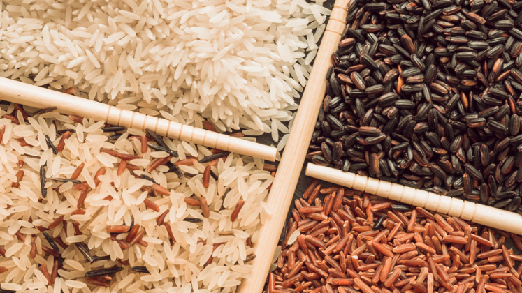 The Future of Hybrid Rice Varieties: What Importers Need to Know