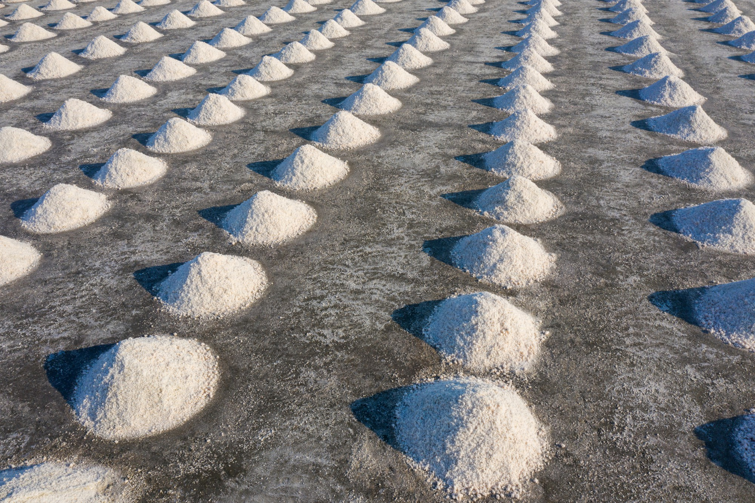 How Rice is Exported from Pakistan: Complete Process Explained