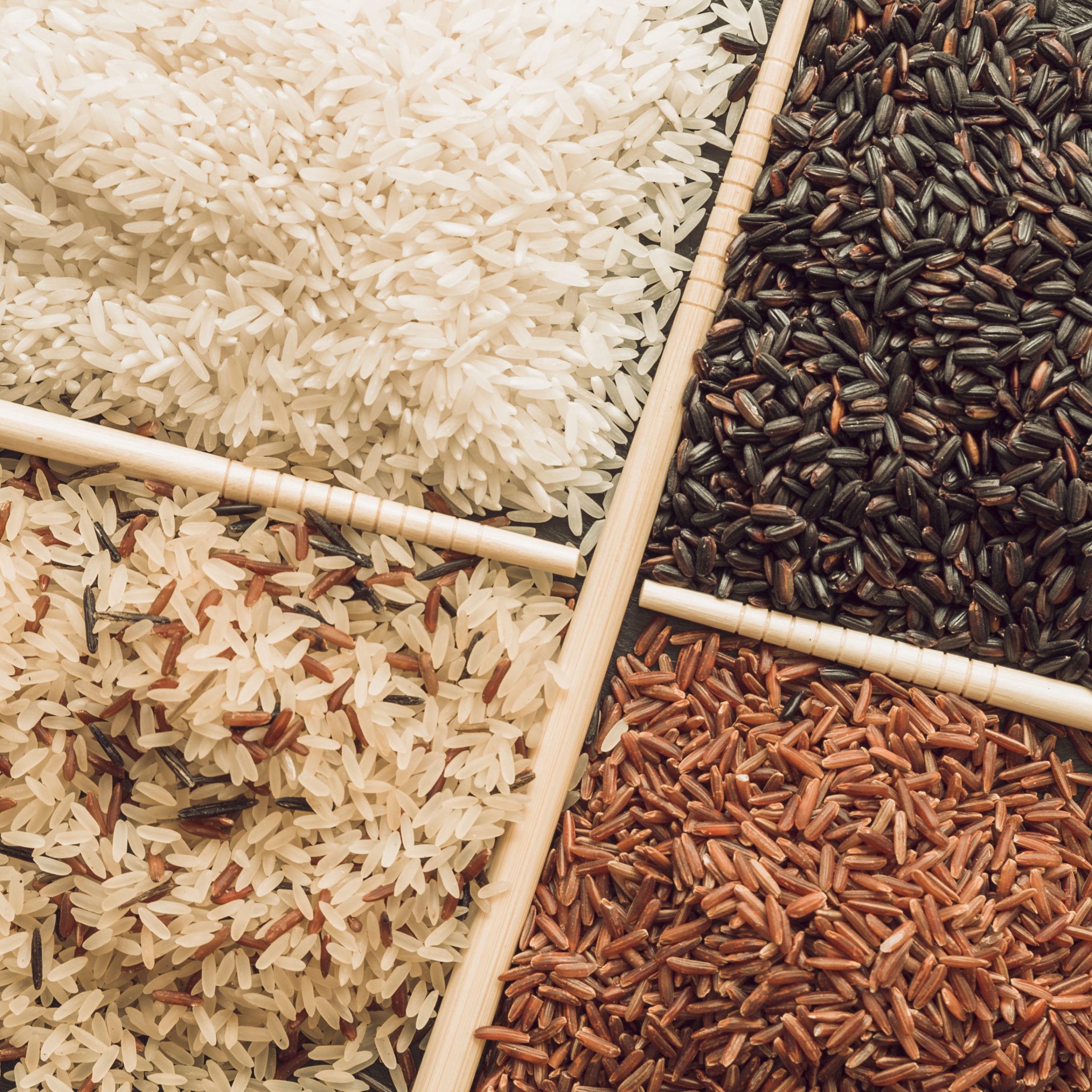 Comparison of Indian and Pakistani Rice