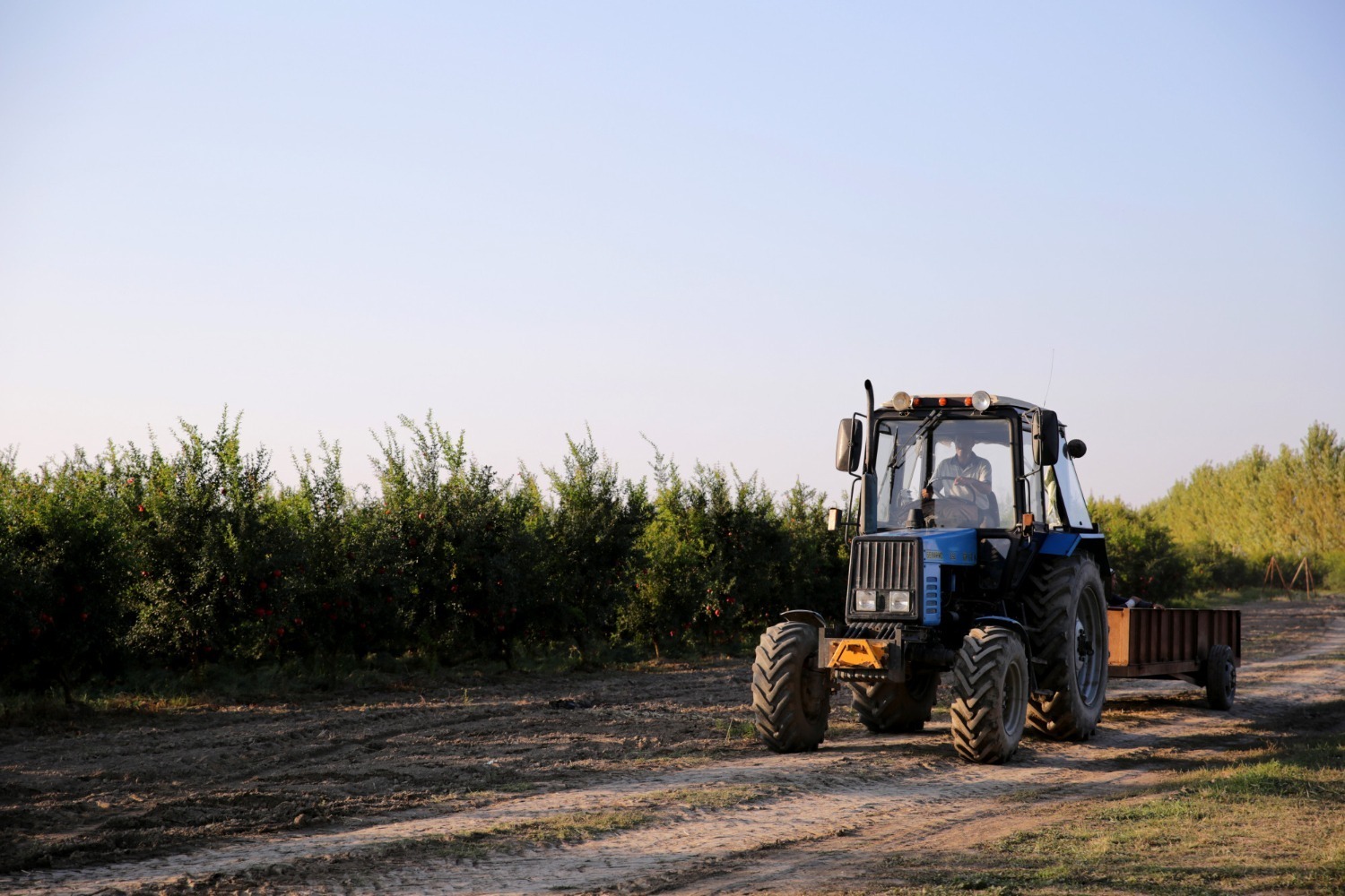 Kubota Machine