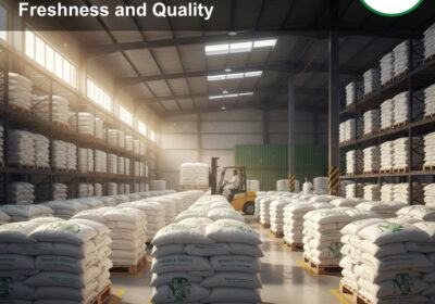 How Exporters Can Store Rice to Maintain Freshness and Quality