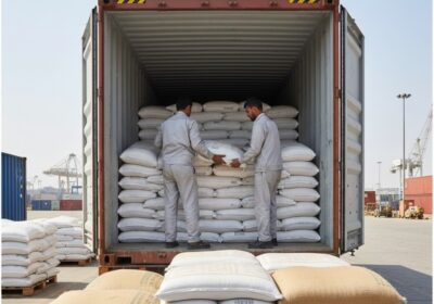 Freight Forwarding Tips for Bulk Rice Shipments from Pakistan