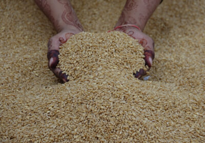 Top 10 Mistakes Buyers Make When Purchasing Rice in Bulk