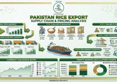 How Rice Export Pricing Works in Pakistan: Profit Margins Explained