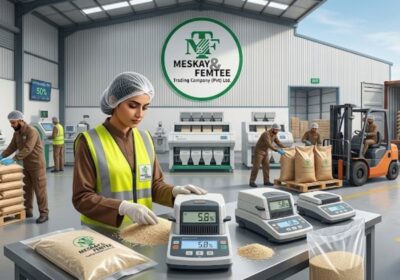 Why Moisture Control Is Critical in Sesame Seed Trading
