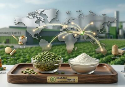 Organic Guar Gum Market: Global Demand and Supply Insights
