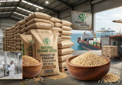 Top Sesame Seed Exporters in Pakistan for International Buyers