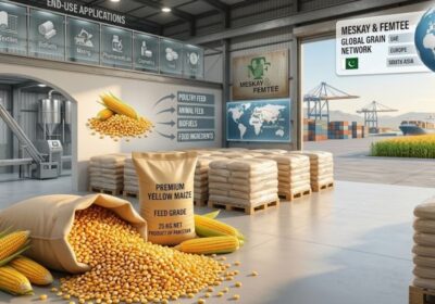 Sourcing Yellow Maize for Our Feed Corn Supply Chain