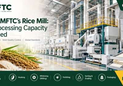 Inside MFTC’s Rice Mill: Our Processing Capacity Explained